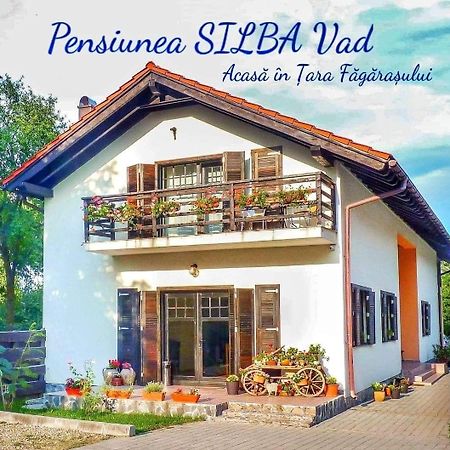 Pensiunea Silba Vad (Brasov) Exterior foto